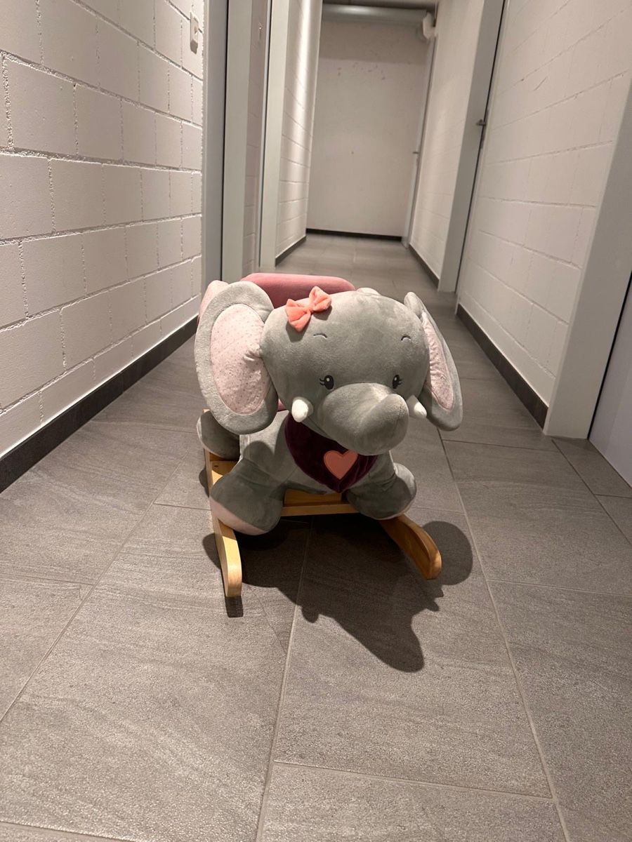 Sdraiette & Sdraiette a dondolo: Schaukeltier Elefant – Nuovo (secondo la descrizione) da Hinwil venduto da manuelb22 1