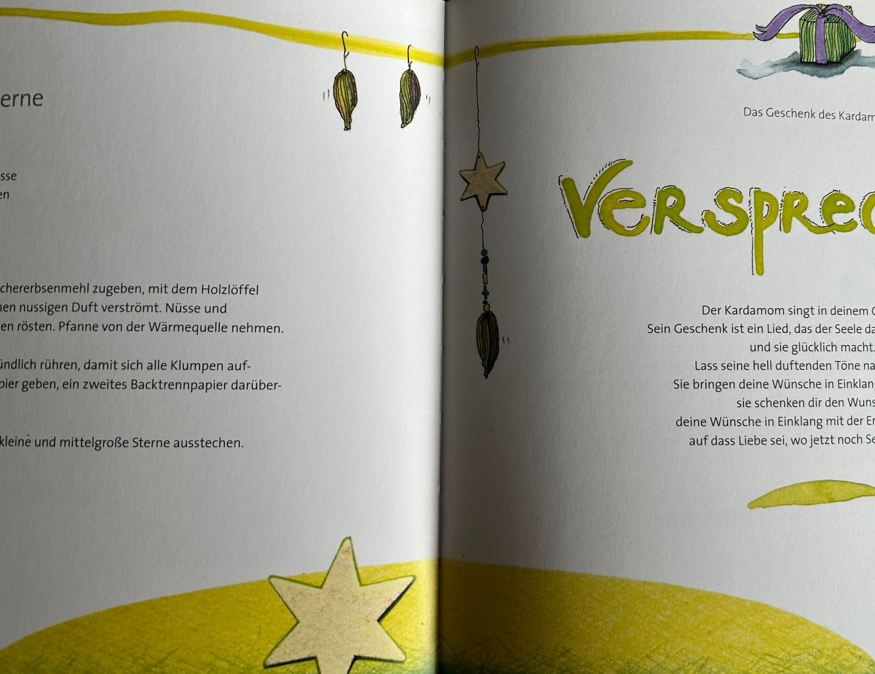 Libri: Backbuch/Sternengeschenke – Usato da Igis venduto da elch04 2