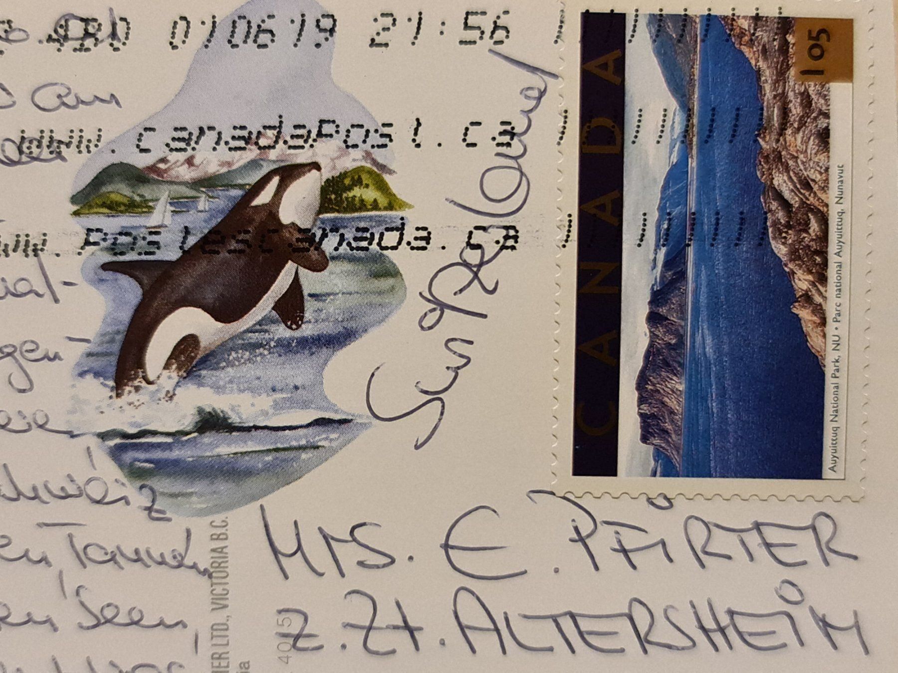 Cartoline postali: Ansichtskarte Adler Kanada – Usato da Dintikon venduto da Vexi 1