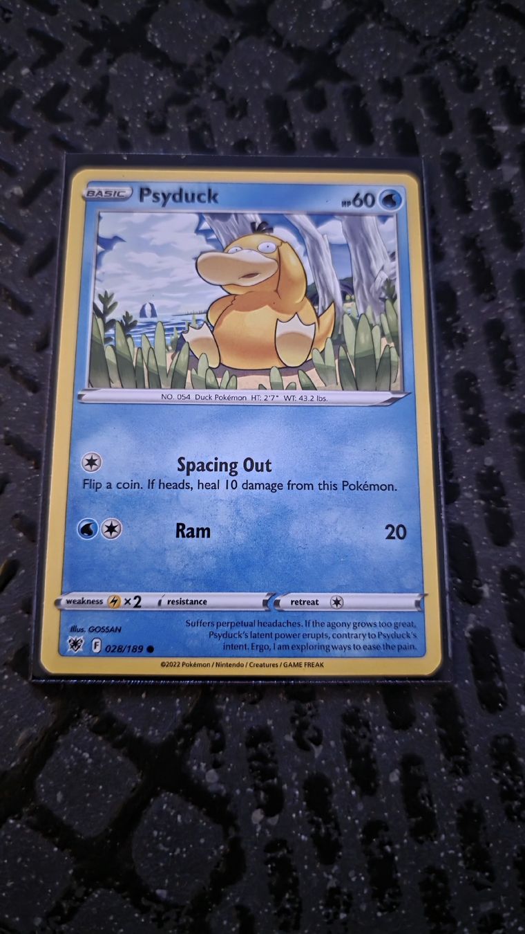 Pokémon Carte collezionabili: Enton 028/189 – Nuovo (secondo la descrizione) da Rorschach venduto da Craint 1