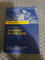 Englischbuch: A Raisin in the Sun, Analyse