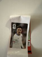 Fussballkarte Antonee Robinson USA FIFA guter Zustand
