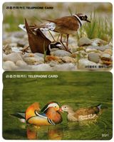 schöne Vögel auf zwei Telefonkarten aus Korea
