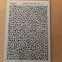 D 157 ... Tarnfarben Regia Aeronautica ... Print Scale Decal