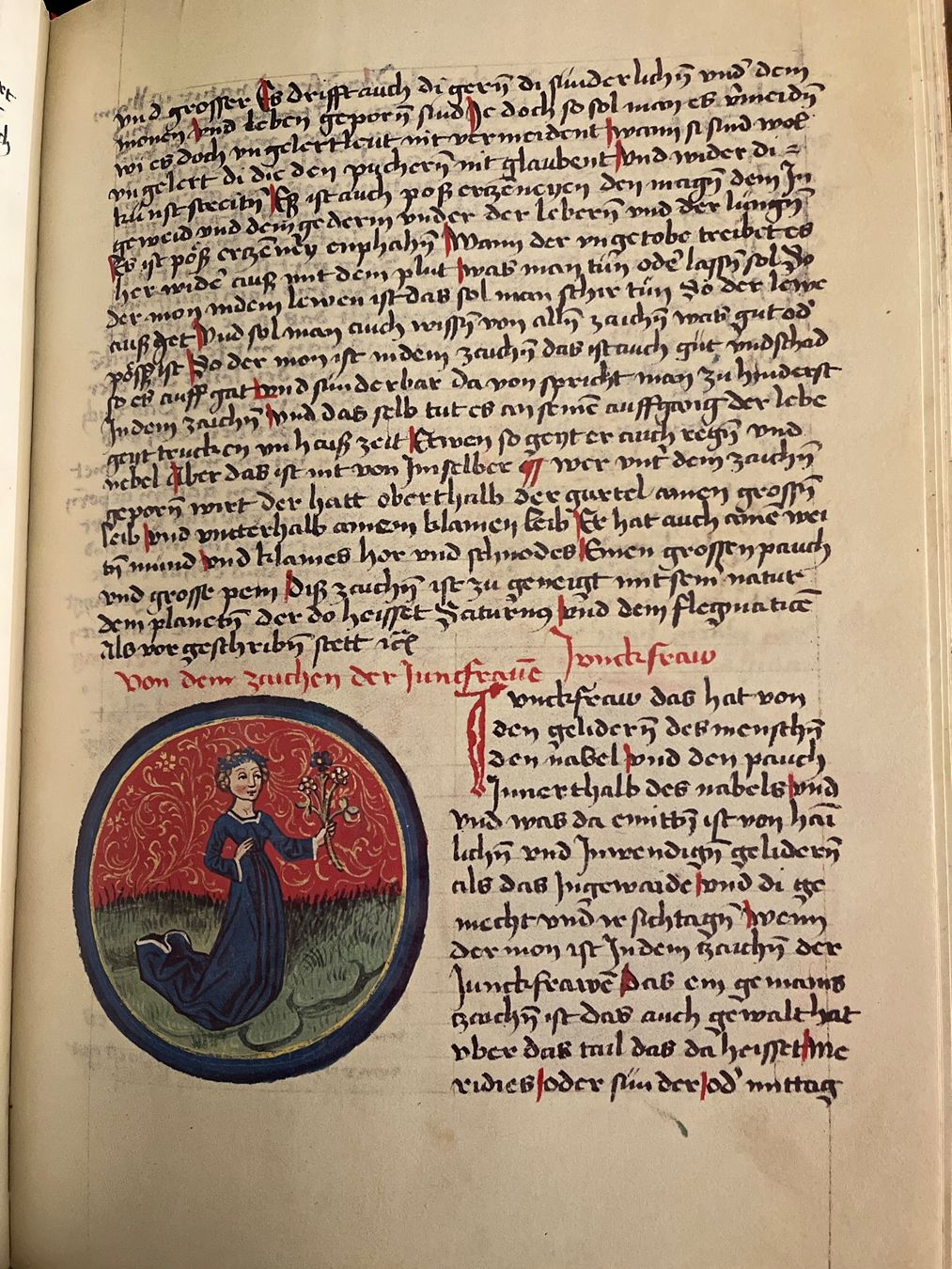 Libri: Antikes Buch "Vom Einfluss der Gestirne – Usato da Uster venduto da naderkhan 4
