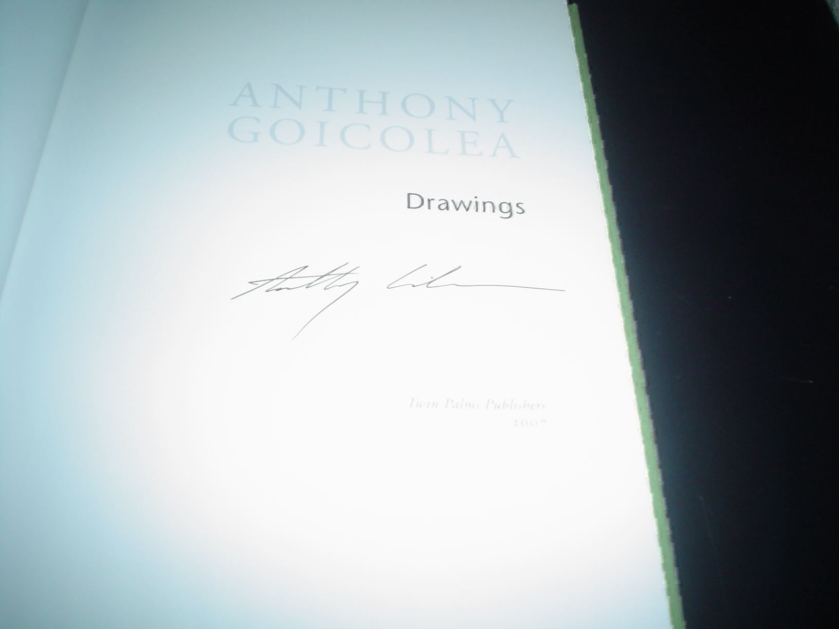 Livres: Anthony Goicolea Interessante Kunst – D'occasion à Welschenrohr par Regool 1