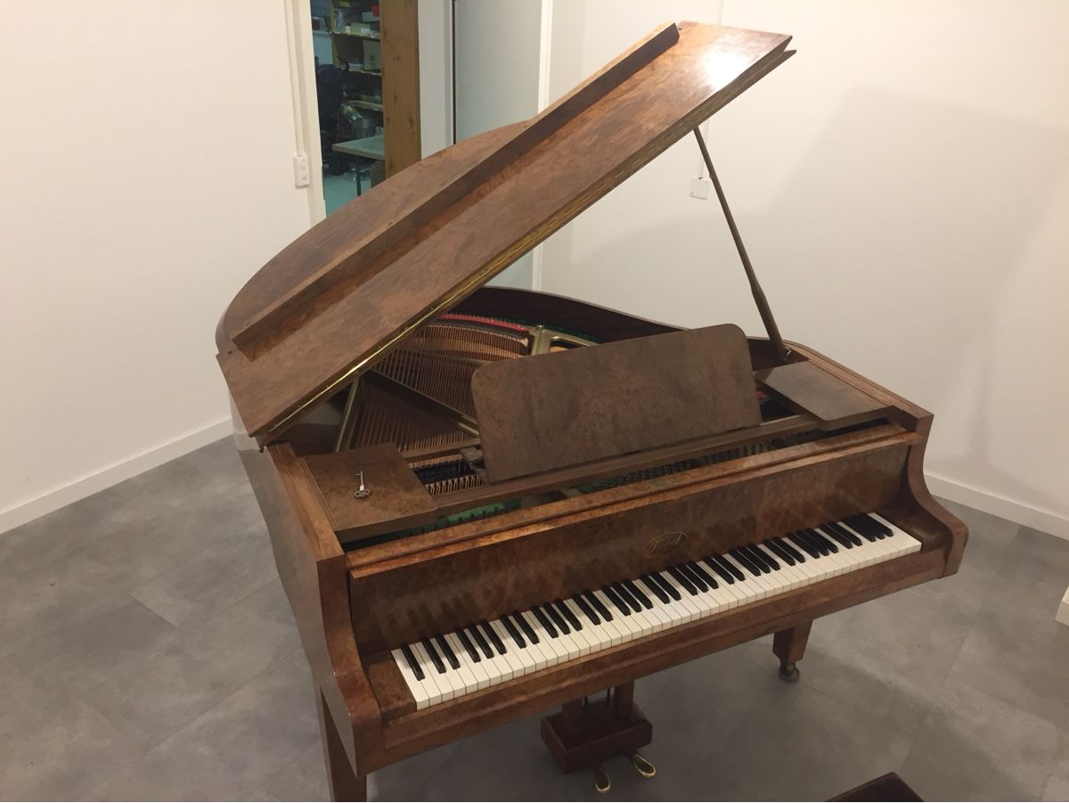 Strumenti musicali: Flügel Sabel Modell 155 – Usato da Basel venduto da RAM013