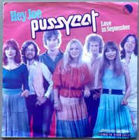 PUSSYCAT - HEY JOE