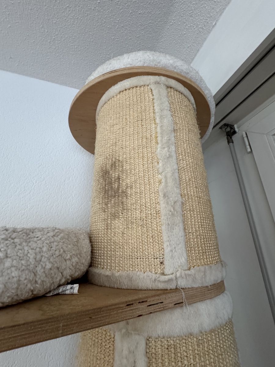 Katzenbaum - Kratzbaum: Kratzsäule Katze – Gebraucht aus Zürich von Naniiin 2