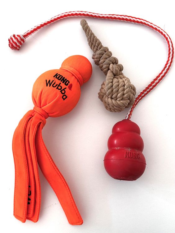 Hundespielzeug Mit Feder - Robustes Spielzeug Für Große Hunde Zum Toben & Trainieren