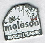 Placchette & Badge: Moléson Gruyères – Usato da Hinterkappelen venduto da Schampus