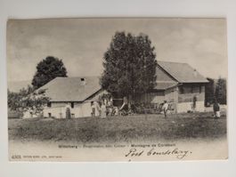 Mittelberg Proprietär Geiser Montagne de Cortébert dat. 1906