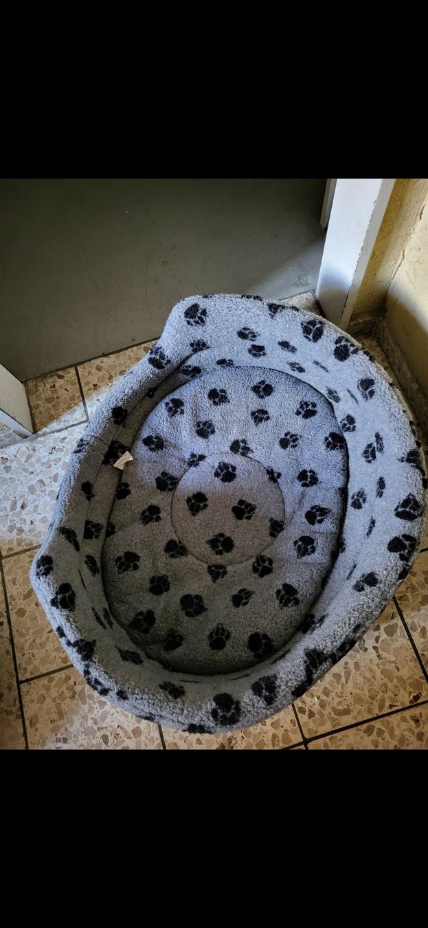 Cucce & Letti: hundebett – Usato da Zürich venduto da yol_x9sd 2