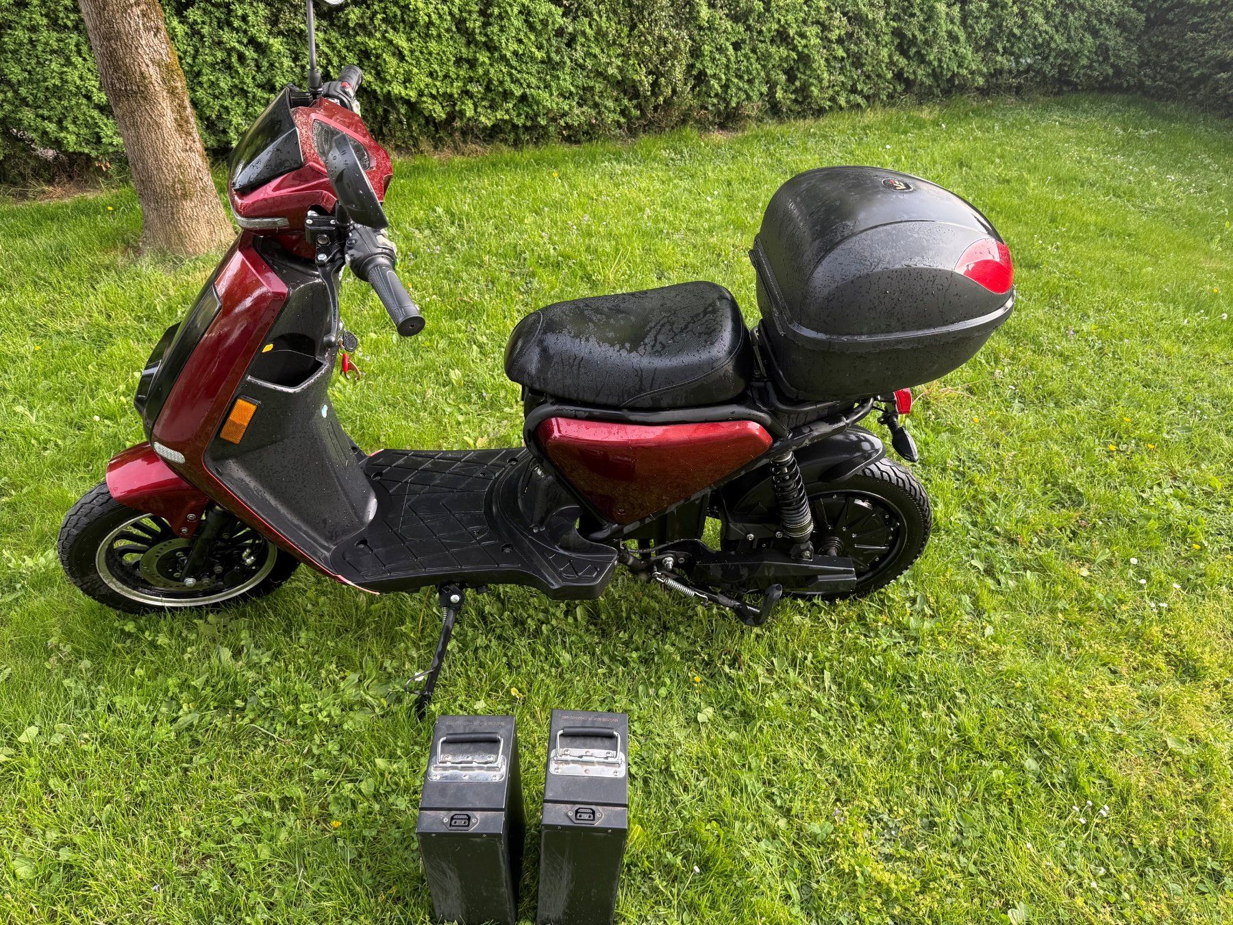 Next Electric Motors Scooters: Elektro-Roller FORZA NEXT – Défectueux à Oberburg par Petite-Suisse
