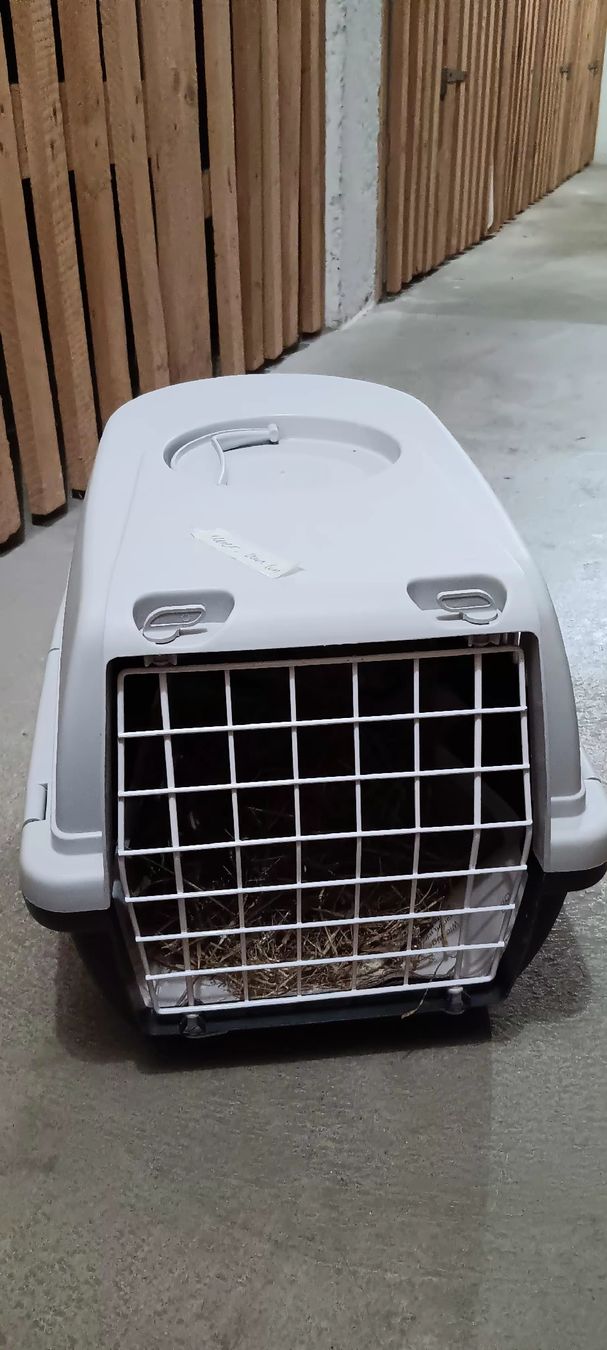 Cages, transport & sécurité: Transportbox Kleintier – D'occasion à St.Gallen par engelgasse 1