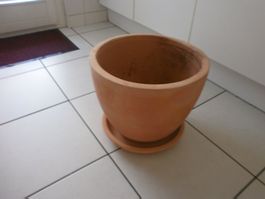 Blumentopf Terrakotta mit Untersetzer