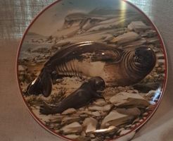 Zierteller Robbenmotiv 20cm unbeschädigt