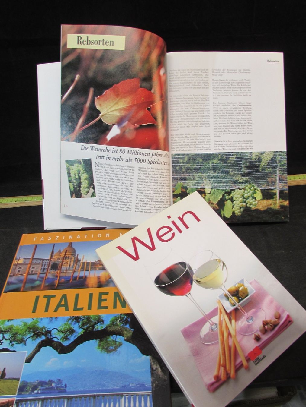 Wein: Wein/Herbst/Trauben – Gebraucht aus Walchwil von Shells1 8