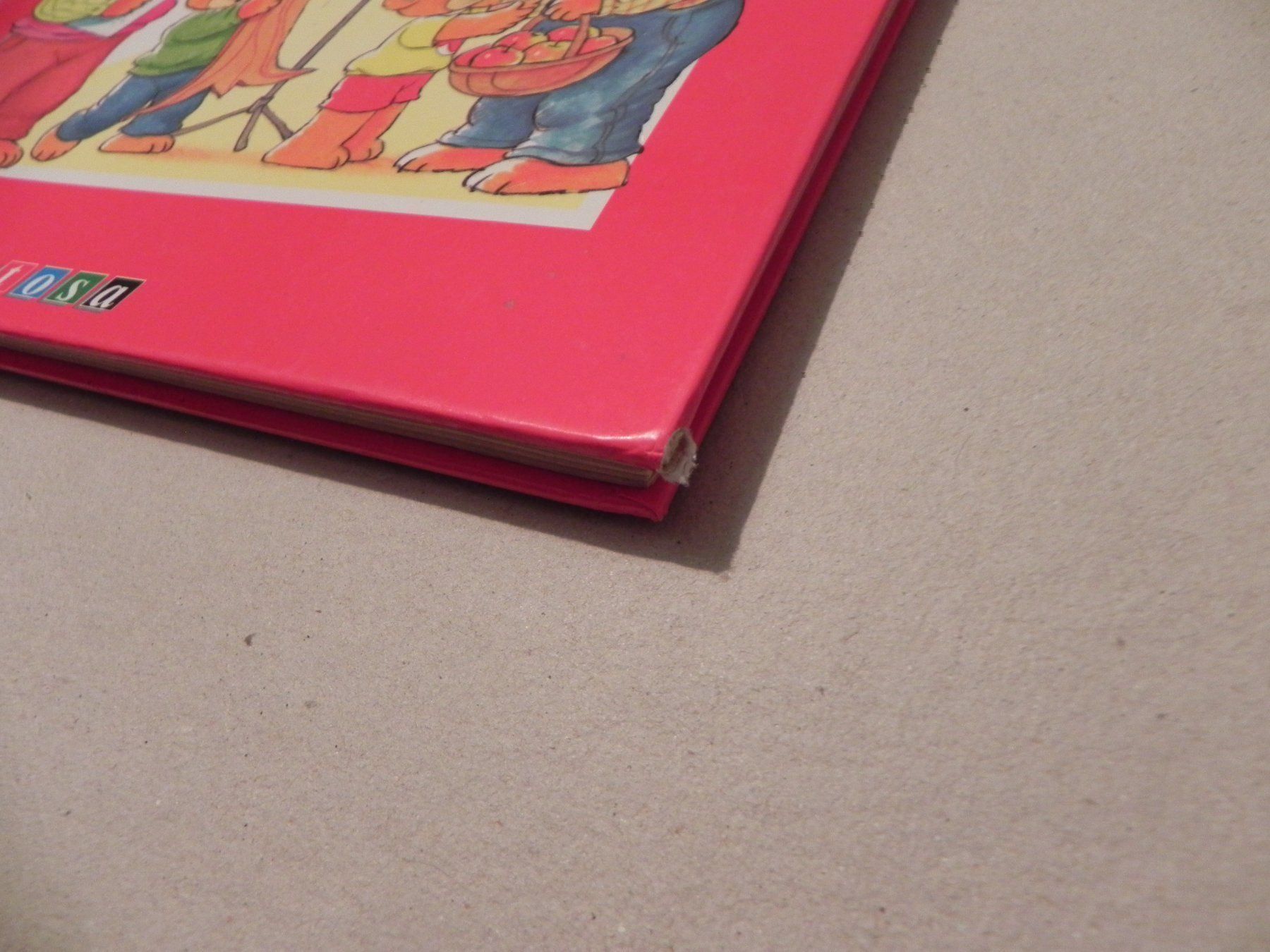Libri: Buch neuste Geschichten Bärenland Teddy – Usato da Siebnen venduto da krimsie 9