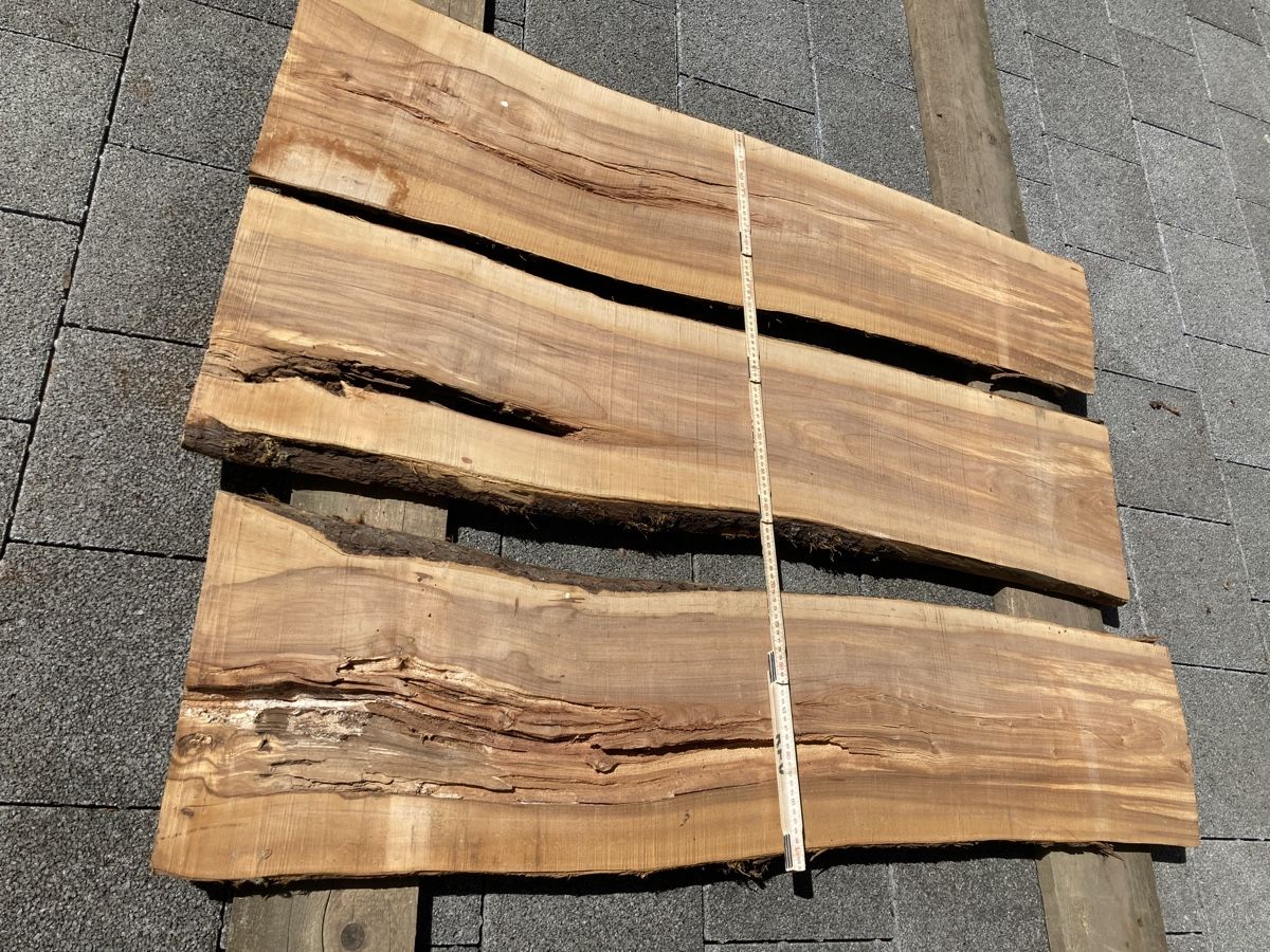 Articoli in legno: Apfelbaumbretter – Usato da Luthern Bad venduto da Peter686 2