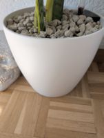Lechuza Pflanzentopf CLASSICO Color 28 Weiss Topf