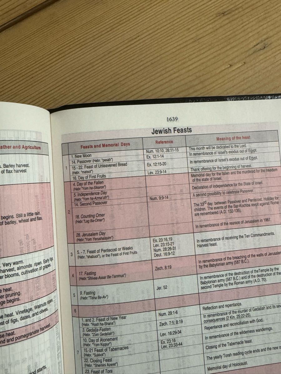 Bücher: KJV Bible King James Bibel englisch – Neu (gemäss Beschreibung) aus Emmenbrücke von Balmoral 4