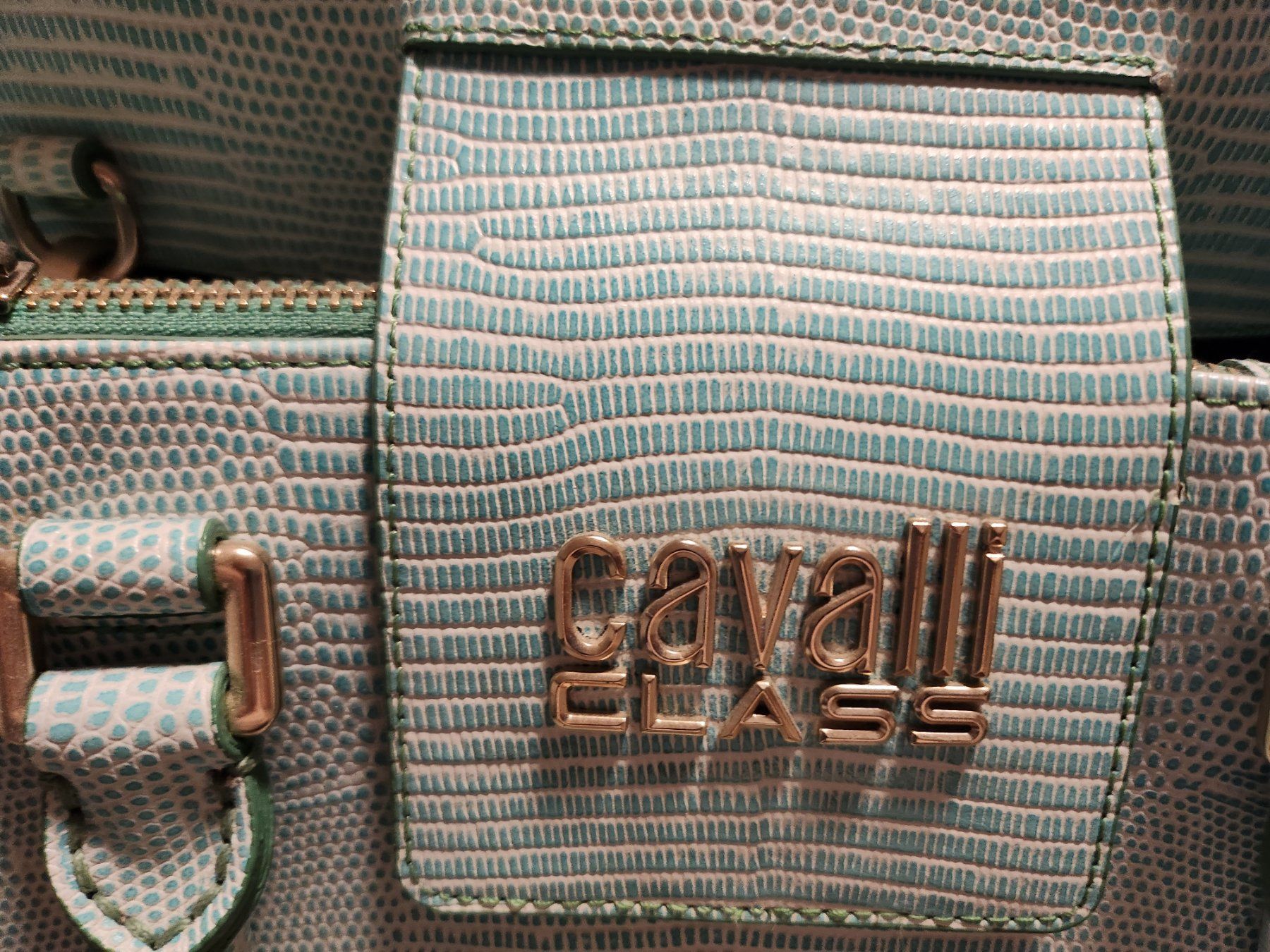 Roberto Cavalli Taschen für Damen: Cavalli Class Tasche – Gebraucht aus Kefikon TG von Livline 5