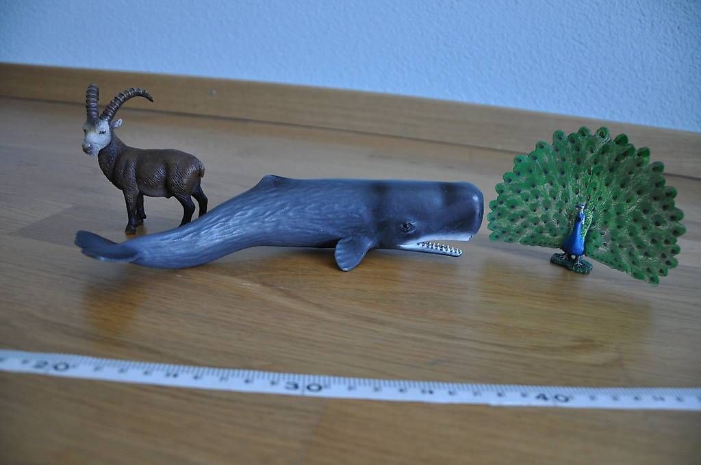 Schleich Giocattoli: Schleich Tiere (Pottwal, Pfau, Steinbock) – Usato da Andelfingen venduto da Niise