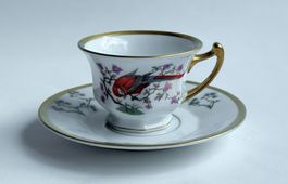 ROSENTHAL*MOKKATASSE & UNTERTASSE*SET*2 tlg.
