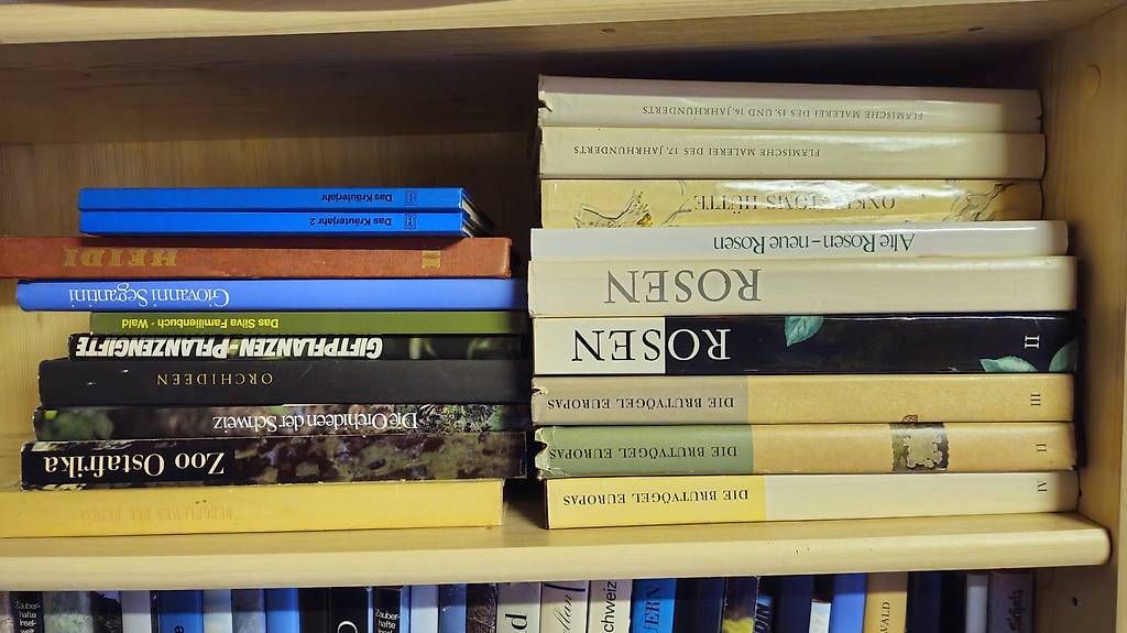 Libri: diverse Silva-Bücher – Usato da Buochs venduto da mur_8t6p 3