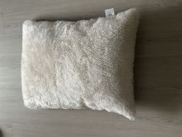 Katzenkissen