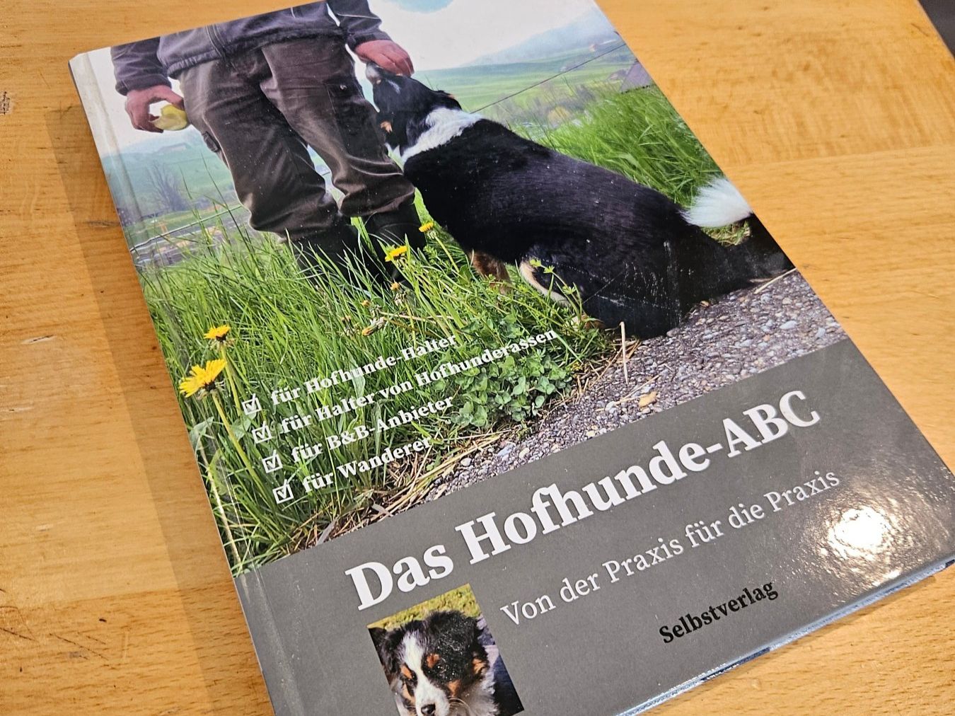 Libri: Buch "Das Hofhunde-ABC" von Sandra Weber – Usato da Oberstammheim venduto da iumb