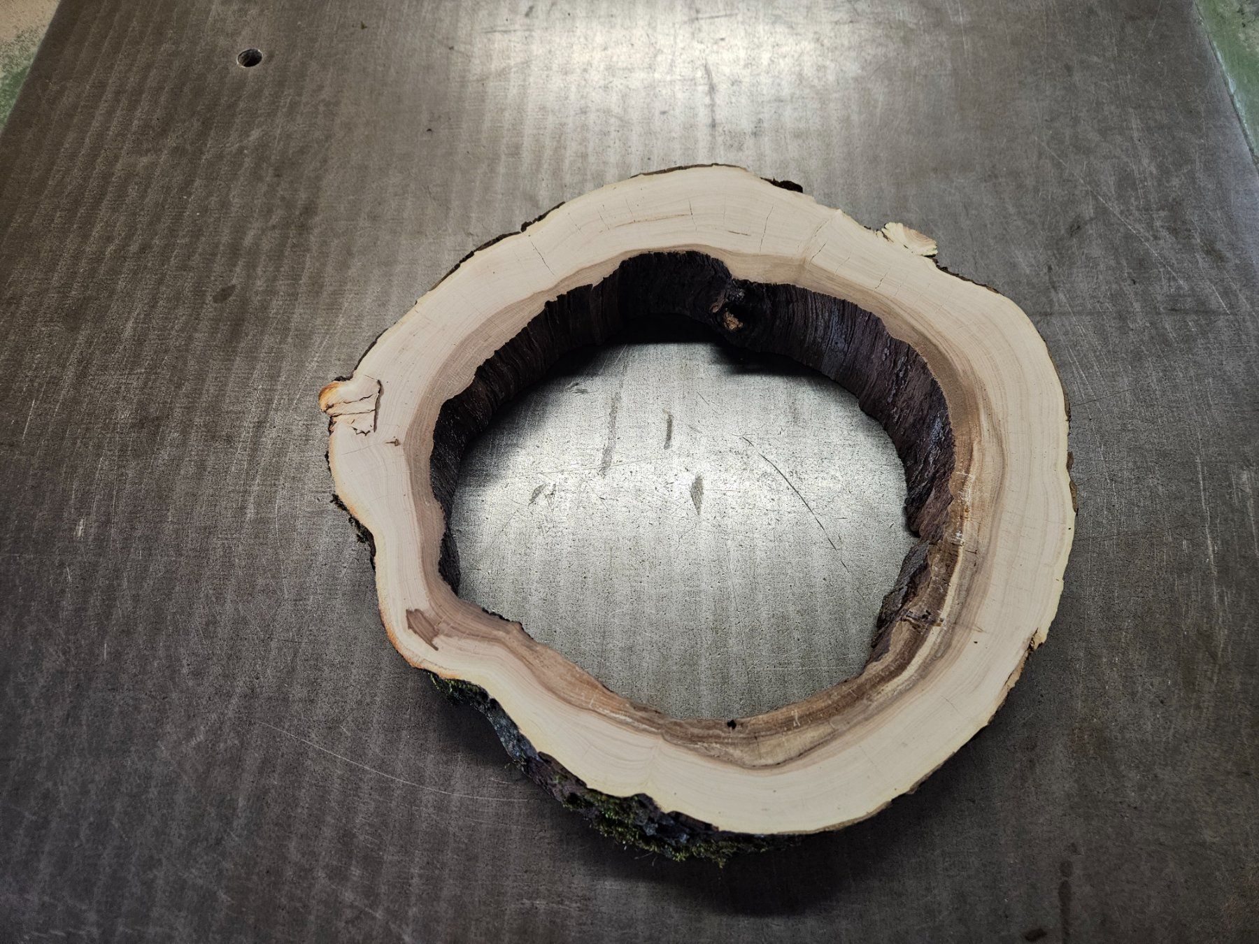 Articoli in legno: Baumscheibe Apfelbaum – Nuovo (secondo la descrizione) da Schangnau venduto da egli6.2 5