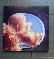 MoTrip Embryo Vinyl Limited Edition