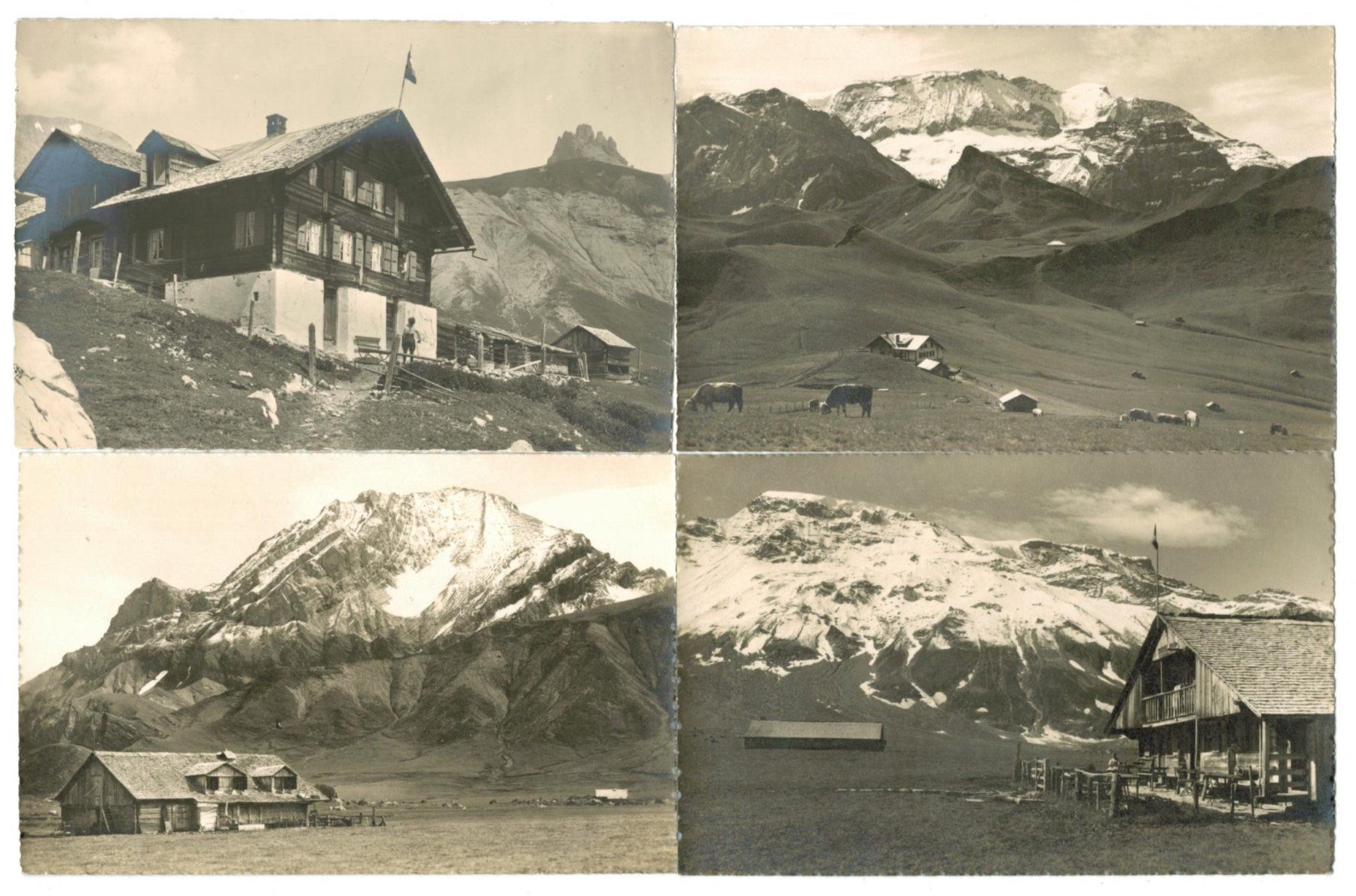Ansichtskarten: 4 AK Adelboden – Gebraucht aus Zürich von tol_b7c7