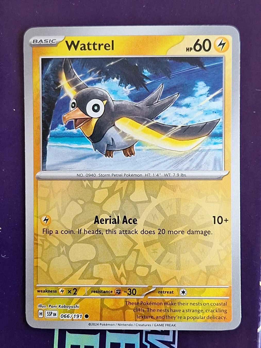 Pokémon Carte collezionabili: Wattrel - Reverse Holo - Pokemon Surging Sparks – Usato da Altstätten SG venduto da GGsGameshop