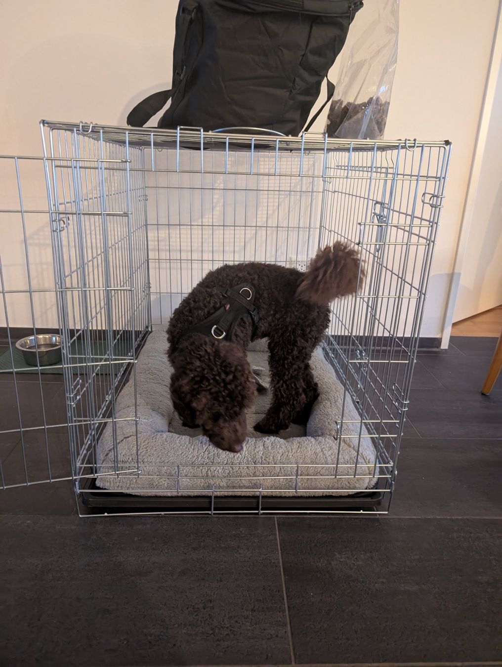 Trixie Käfige, Transport & Sicherheit: Kennel/Gitterbox mit passendem Hundebett – Gebraucht aus Langwiesen von kel_hf7j