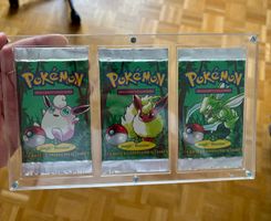Art set booster jungle Français