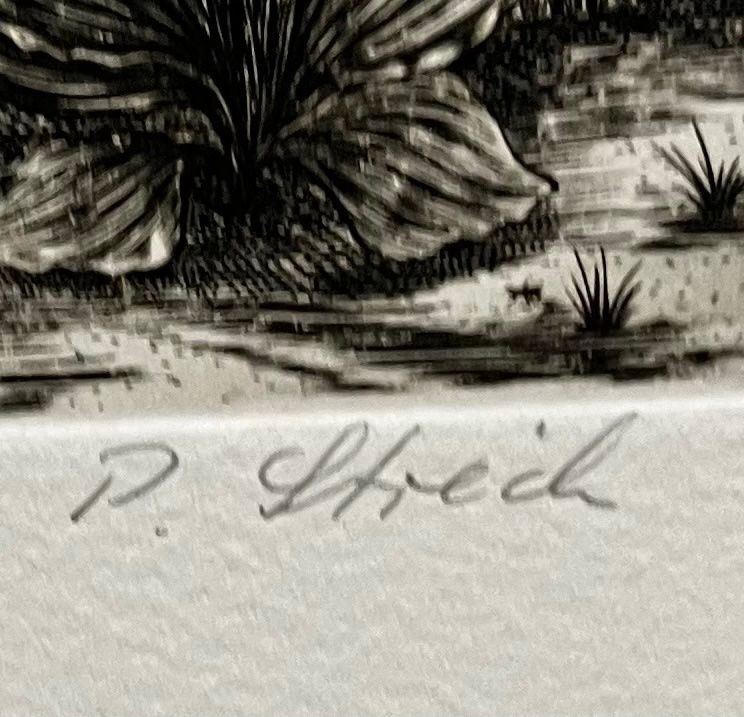 Grafica & Litografie: PETER STREICH RADIERUNG SIGNIERT NUMMERIERT – Usato da Gersau venduto da kunst-online 2