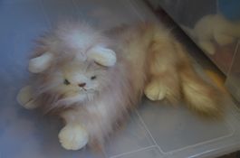 KATZE PELUCHE