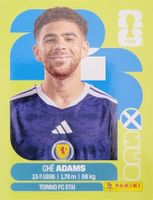 Panini FIFA World Cup SCO 19