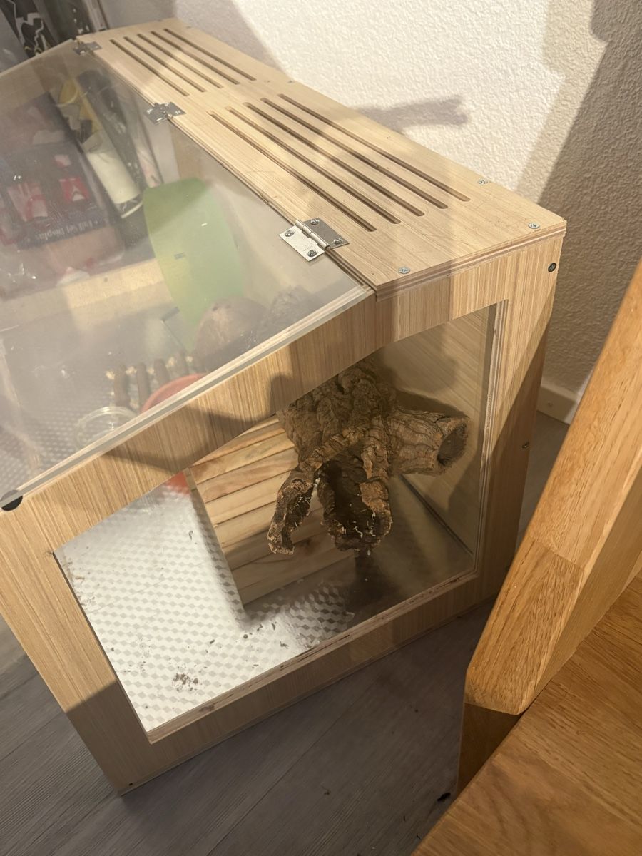 Terrario: Terrarium mit viel Zubehör – Usato da Eiken venduto da ren_yk6f 1