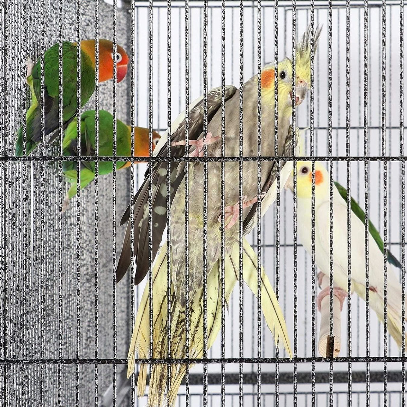 Vogelhäuser: Großer Vogelkäfig Doppelkäfig – Neu und originalverpackt aus Bottighofen von zaap 6