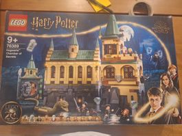 LEGO Harry Potter 76389 : Hogwarts Chamber of Secrets
