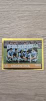 Panini 2022 - FWC 24