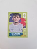 Panini Sticker NZL19