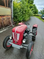 Zu verkaufen Oldtimer-Traktor GRUNDER TK 15