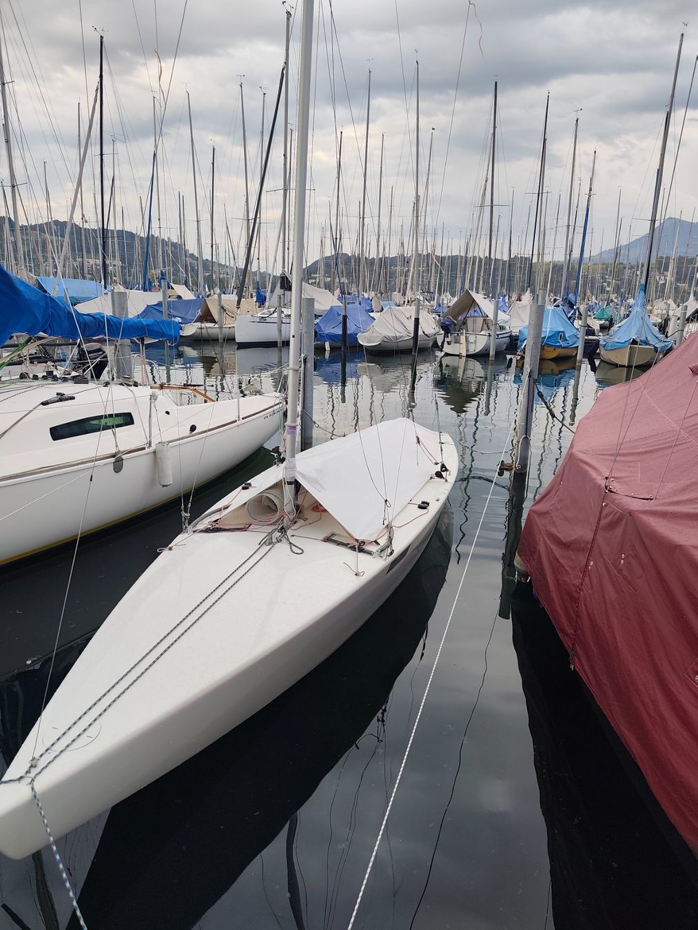 Barche: Starboat SUI 8257 – Usato da Luzern venduto da prodeep 3