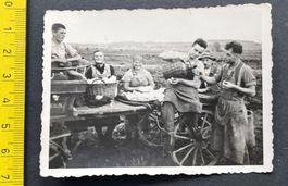 Rast während Feldarbeit od. Ernte/ Leiterwagen, Photo ~1930