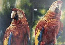 Original-Ölgemälde "Rote Aras" aus Havanna (103x73cm)